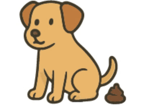 Excrementos mascotas